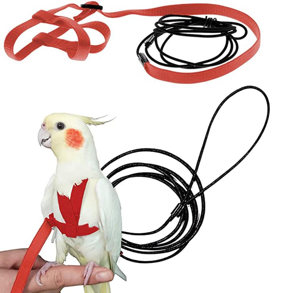 parrotlet harness and leash