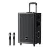 Newmine Portable Bluetooth Karaoke Speaker with Dual Mics (CN Version)