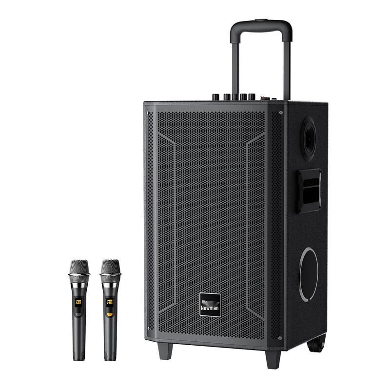 Newmine Portable Bluetooth Karaoke Speaker with Dual Mics (CN Version)