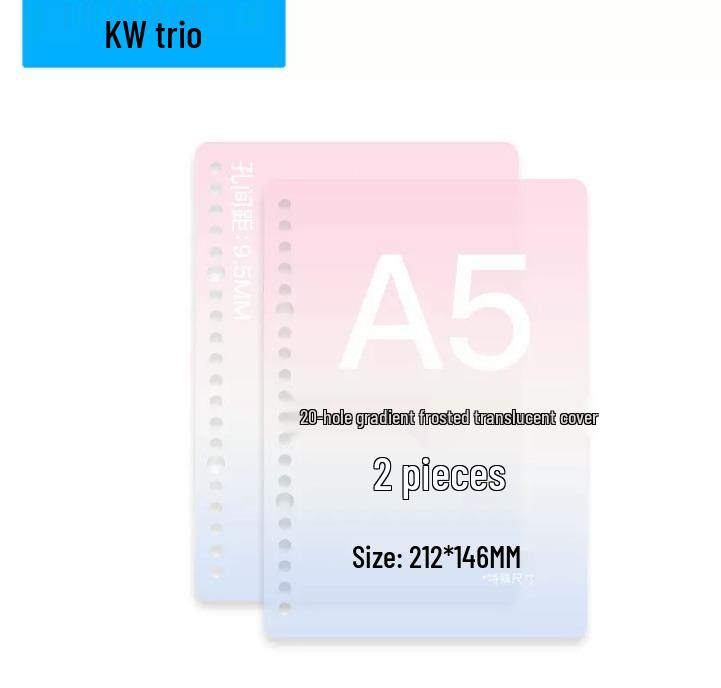 Gradient Color Detachable DIY Loose-leaf Notebook with Waterproof Frosted PP Cover - A4, B5, A5