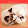 Giocattolo per Gatti Sonoro Uccellino Colorato Gioco Interattivo per Animali Domestici e Regalo