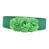 Elastic Waist Belt Chunky Wide Belt for Women for Dress Maxi