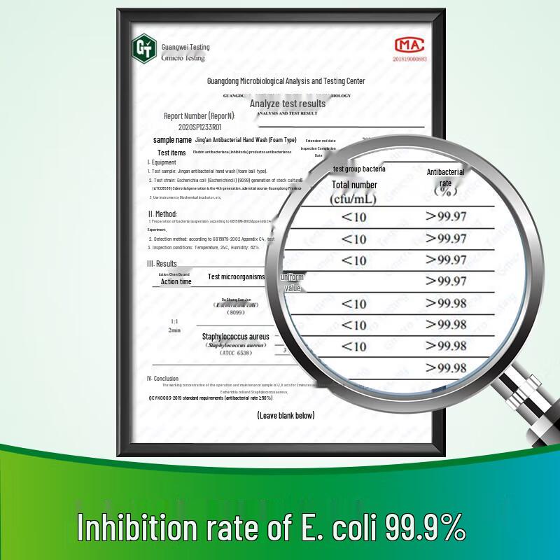 Jingan Foaming Antibacterial Hand Soap - Family Pack