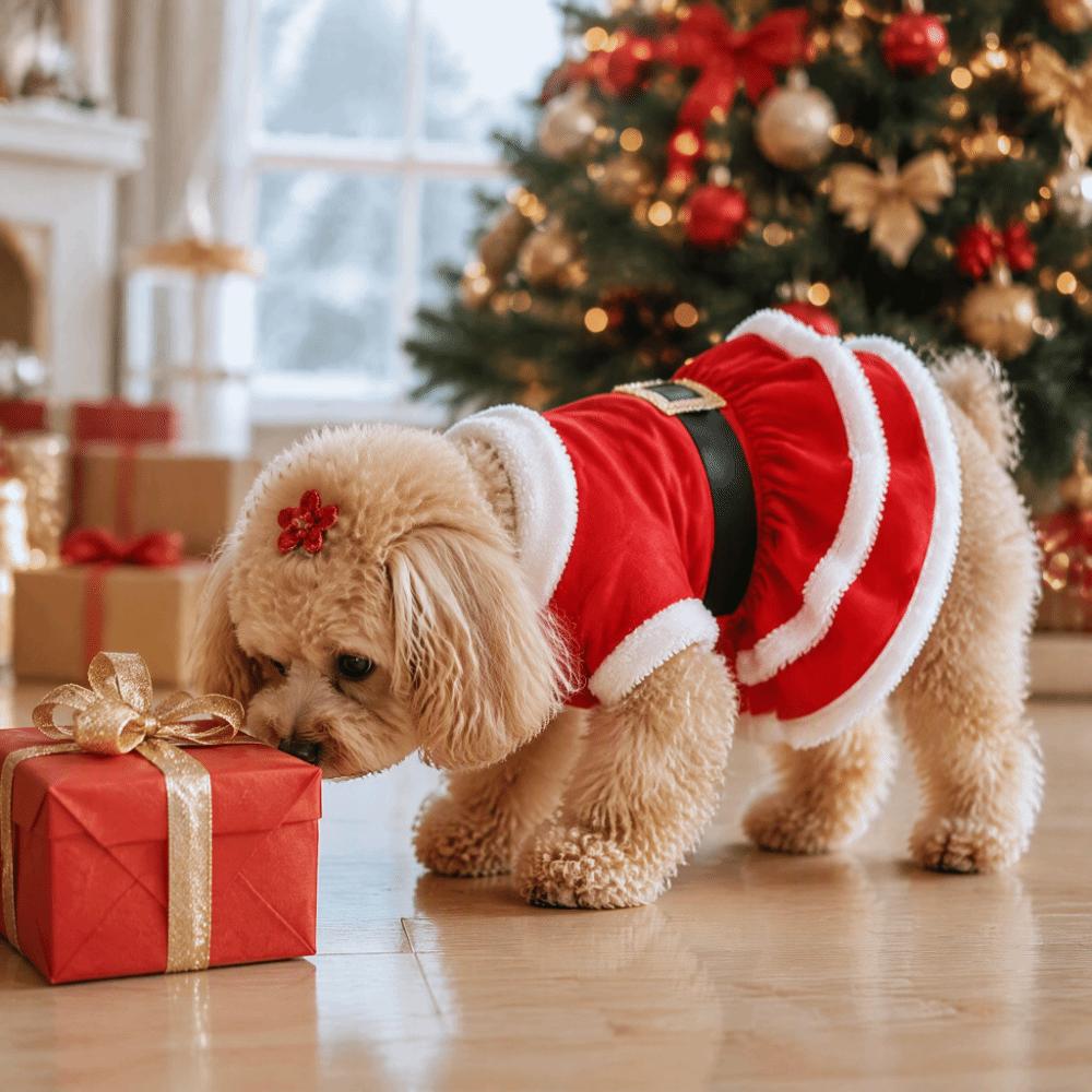 Breathable Santa Claus Cosplay Costume Soft Pet Xmas Skirt Cats Dogs Christmas Dress Winter