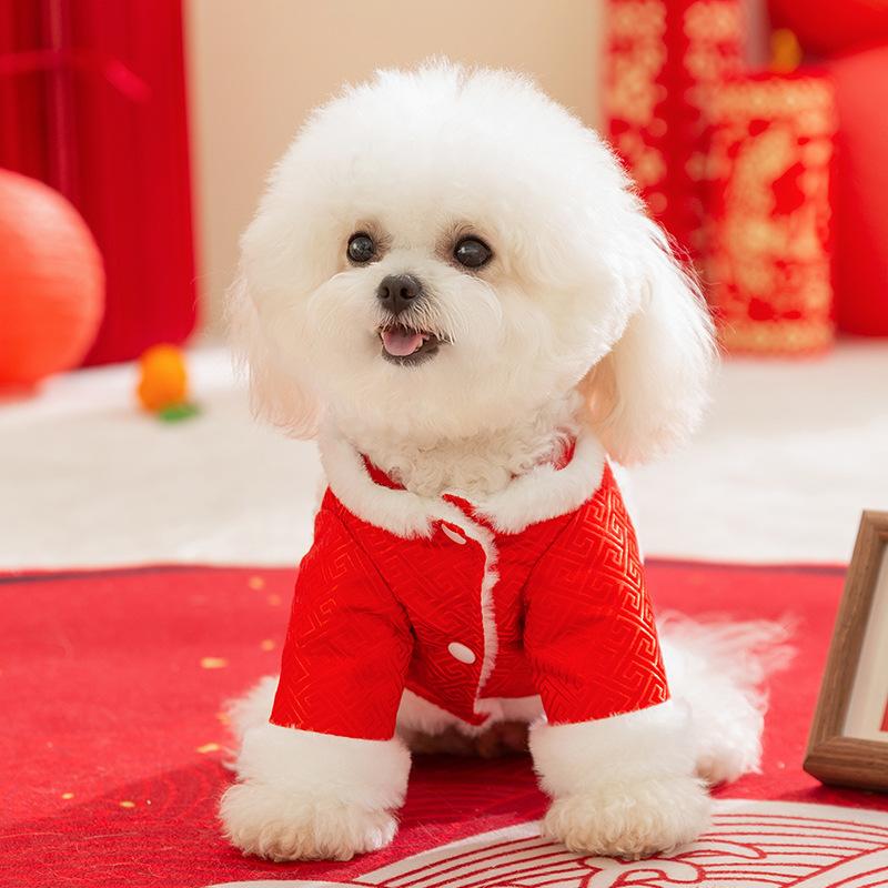 Puppy dog clothes New Year's blessing is coming, festive Teddy Yorkshire New Year's greetings turtleneck fur edge pet two-legged cotton-padded coat