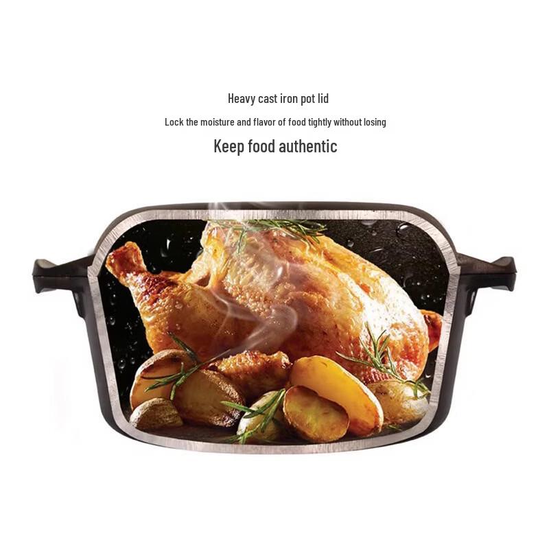 ZISIZ 26cm Cast Iron Double-Handle Multi-Purpose Pot