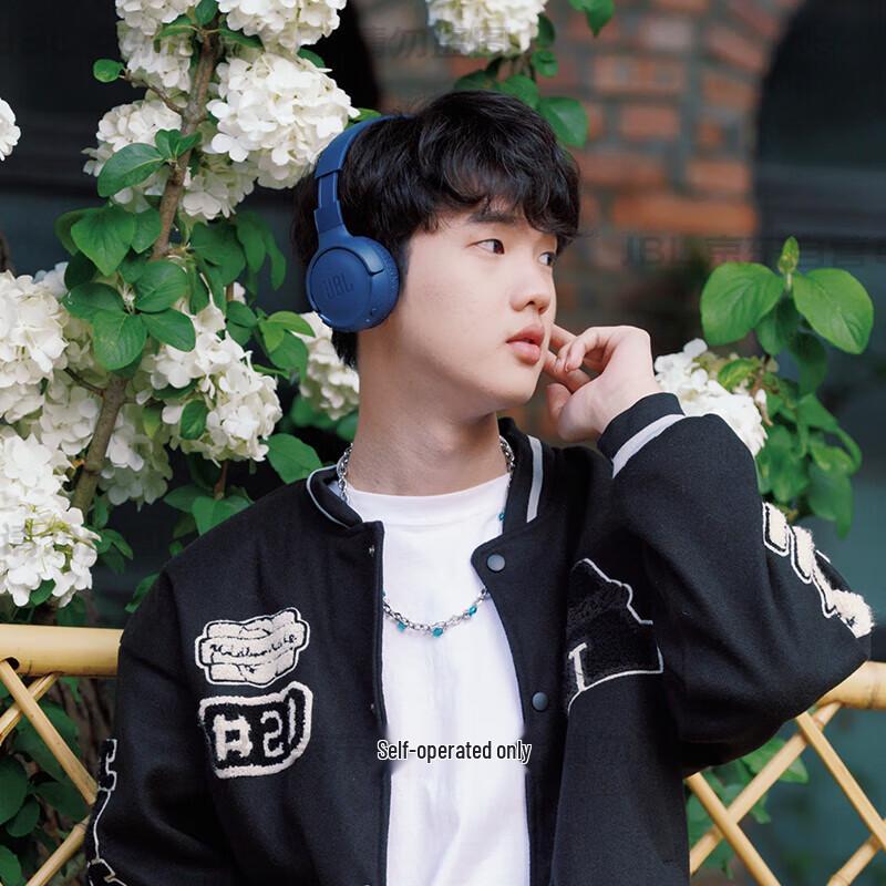 JBL TUNE520BT Wireless Bluetooth Over-Ear Headphones