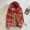 Autumn and Winter New Imitation Cashmere Plaid Scarf Women's Daily Couple Thickened Warm Scarf Shawl