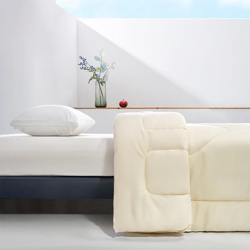 Mercury Home Textiles Antibacterial Soybean Duvet