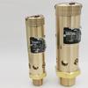 Xunmi Vibration-Resistant Screw Air Compressor Safety Valve