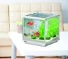 GEX Goldfish Genki Cube Set, Aquarium Size: Approx. W20 x D20 x H20cm, Water Capacity: Approx. 6L, White Frame Width: 20cm