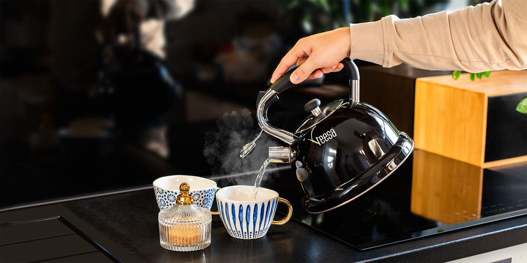 Teesa Stainless Steel Kettle with Whistling 3L Gas Induction
