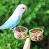 Bridge Feeding Cup Toy with Clip for Bird Parrots Parakeets Cockatiel Conure Pet Bird Feeder Cup Bowl