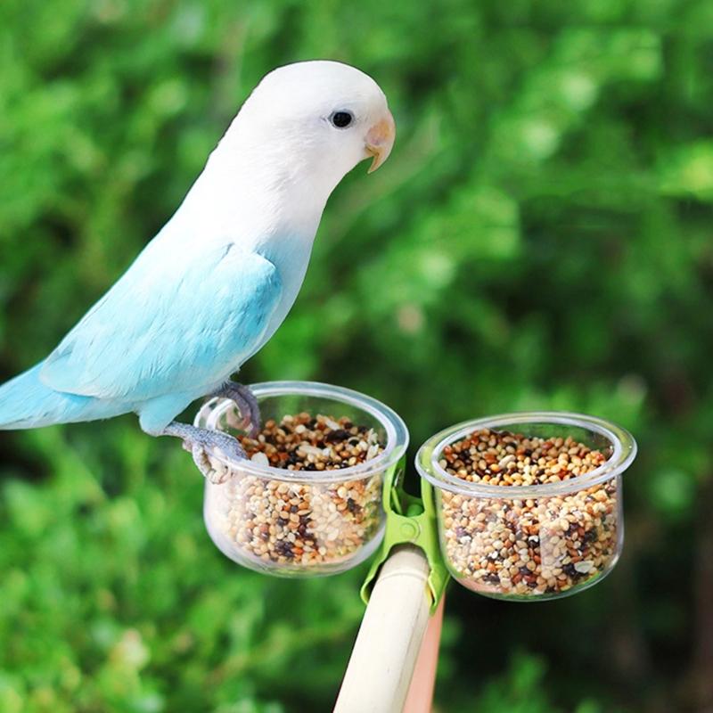 Bridge Feeding Cup Toy with Clip for Bird Parrots Parakeets Cockatiel Conure Pet Bird Feeder Cup Bowl