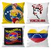 Aesthetic Art Venezuela Cushion Cover Pattern Printed Pillowcase For Living Room Sofa Cushion Cover & Bedroom Decor