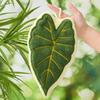 Plant Leaf Hanging Hand Towel for Kitchen and Bathroom