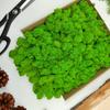 Reindeer Moss - Finnish - Cleaned - Light Green - 250g Net