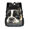 Black Boston Terrier Backpack Hot Sale Daypack Large Capacity Boys Girls BookBag School Bag Shoulder Bags for Men Women
