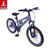 PHOENIX TT-20plus 20-inch Student Mountain Bike