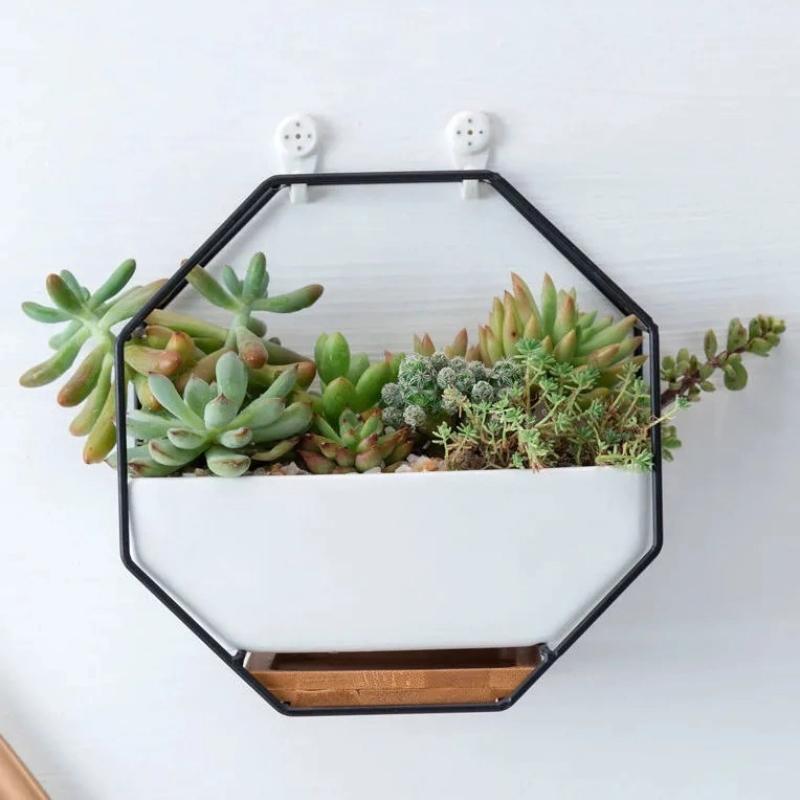Octagonal Wall Hanging Porcelain Flower Pot – Succulent Planter for Home Decor