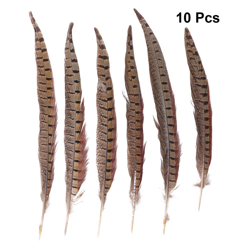 Buy Pheasant Feather Real Natural 30 