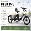 Tricicletă Electrică Onesport OT30 Pro 48V500W18AH Afișaj Frână Hidraulică Bicicletă Electrică de Marfă