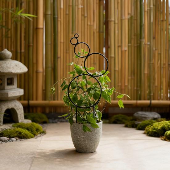 Plants Metal Trellis Multi-Circle Design Wire Trellis Planter Insert Support for Climbing Plants Potted Hoya Pothos Philodendrons Ivy