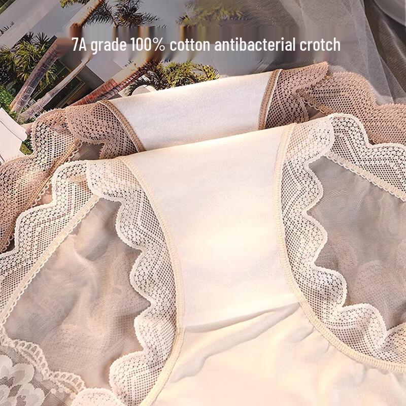 FitonTon Women's 2-Pack Sexy French Lace Sheer Briefs