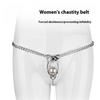 Metal Sex Slave Sexy Underwear Female Heart-shaped Female T Chastity Belt Abstinence Anti-cheating Genital Chastity Lock