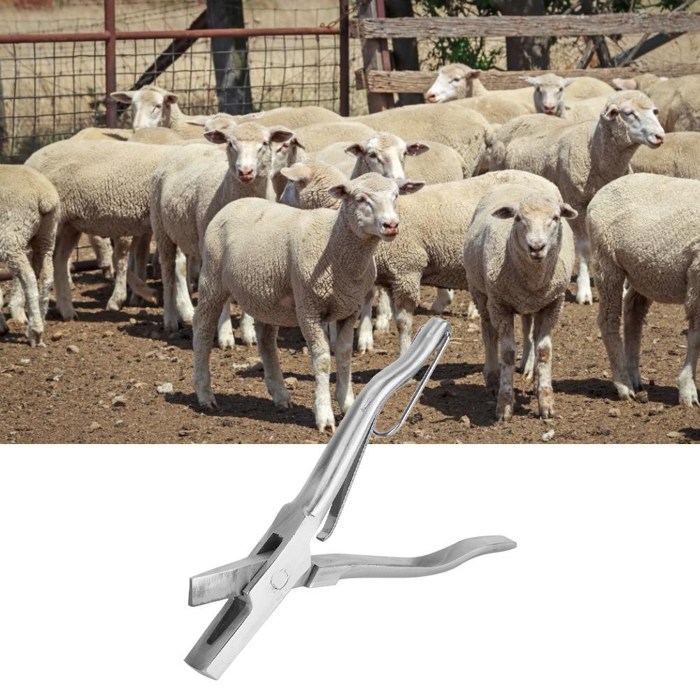 Stainless Steel V Shape Ear Tag Pliers Tongs for Pig Animal Livestock Farm Accessory