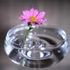 Yousheng 10/20/30Pcs Floating Floral Arrangement Holder Clear Floating Flower Display Stand Hydroponics Water Planting Flower Bowl Stem Holder