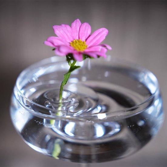 10/20/30Pcs Floating Floral Arrangement Holder Clear Floating Flower Display Stand Hydroponics Water Planting Flower
