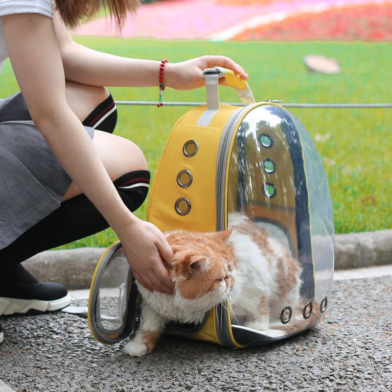 Pet carrying bag space Space capsule dual-shoulder backpack Breathable transparent backpack Cat and dog transportation bag
