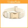 Pet Collar Dog Necklace Nonexpandable With Gold Buckle For Small To Large Dogs