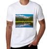 Red Rocks Lake Tshirt Athletic Quick Dry Tshirt For Unisex