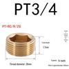 Plastic Mold Tapered Copper Hex Plug - PT British Standard Screw for Water Pipes