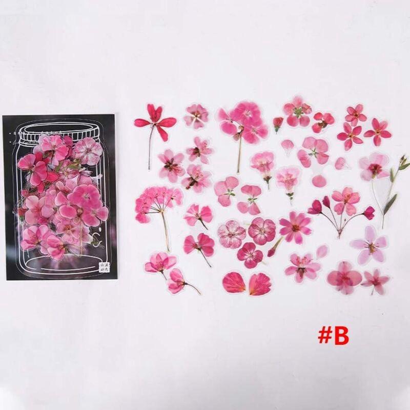 Sticker Pack PET DIY Hand account diary Material stickers Stickers Fresh plants