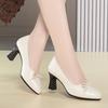 Women's Versatile and Elegant High-heeled Shoes, Suitable for Spring and Autumn, Comfortable Everyday Wear