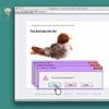 Gatos – Brinquedos para gatos