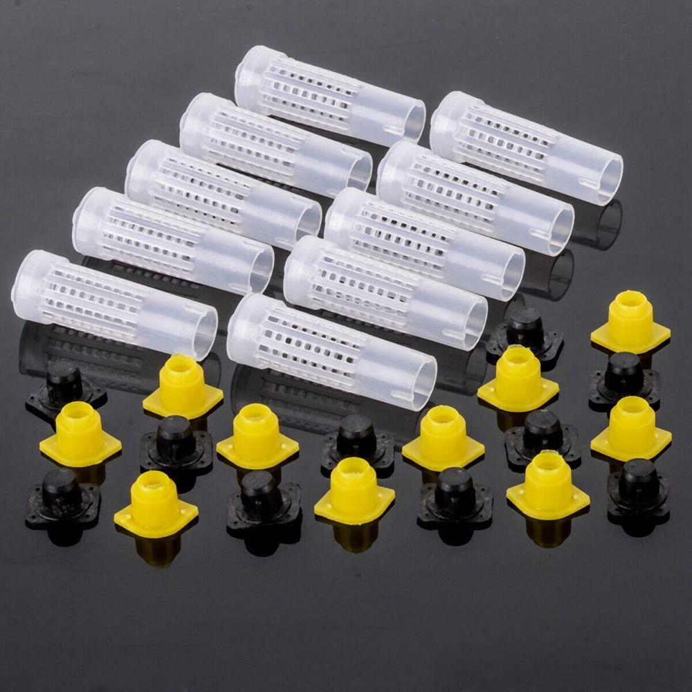 Beekeeping 50Pcs Box Holder Equipment Tool Rearing Cup Protective Cover Bees Rearing Bee Queen Cage