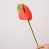 Wedding Background Artificial Anthurium Flower Home Decoration Party Floral Arrangement