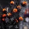 Halloween Artificial Pumpkin Bouquet Decor - Black & Orange Spooky Ghostly Pumpkins with Bats,Home Decorators, Party Centerpiece