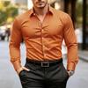 Chemise rayée essentielle pour homme à manches longues, idéale pour le bureau et le quotidien.