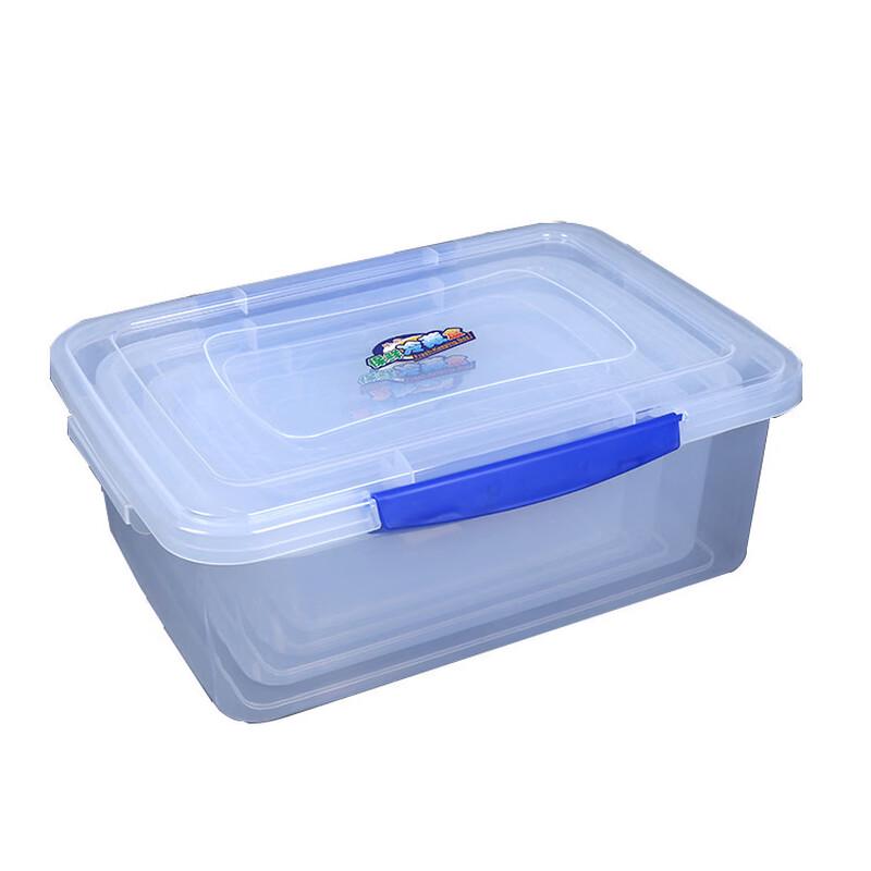 Transparent Plastic Food Storage Container
