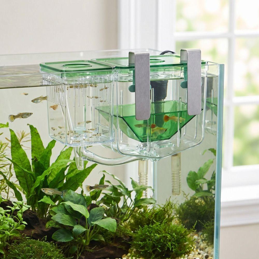 Transparent Fish Tank Hatchery Slotted Design Breeding Isolation Box  Isolation