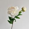 DIY 2 Head Artificial Peony Bouquet Silk Cloth Lifelike Artificial Flower Peony Flower Bundle Photography Prop