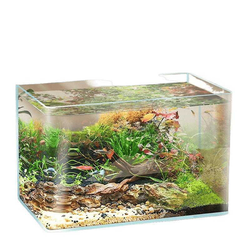 Large High-Transparency Gold Crystal White Fish Tank for Living Room, Office, or Hotel Lobby