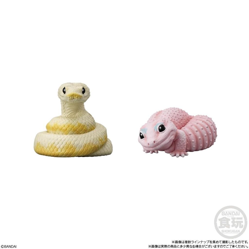 BANDAI Tenori Friends 12 - Reptiles and Amphibians - Chewing Gum Candy Toys [Box Set of 12]