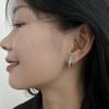 Trendy Exquisite Silver Cubic Zirconia Snake Mosquito Coil Clip Earrings Luxury Personality Non Piercedfor Women Fashion Jewelry