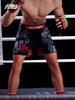 MMA Cross-border Fight & Training Shorts: UFC, Brazilian Jiu-Jitsu, Sanda, Fitness Pants